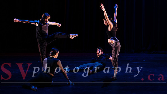 Fall For Dance North's third International Presenters Program (I