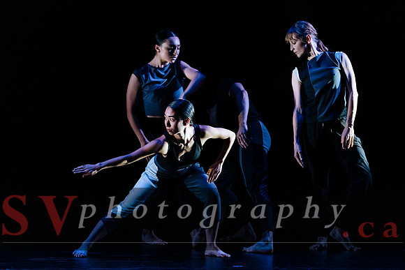 Fall For Dance North's third International Presenters Program (I
