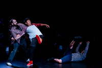 Fall For Dance North's third International Presenters Program (I