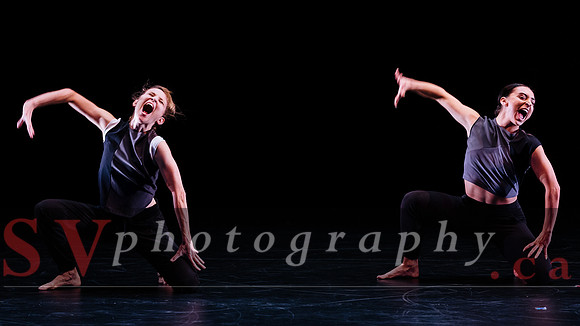 Fall For Dance North's third International Presenters Program (I