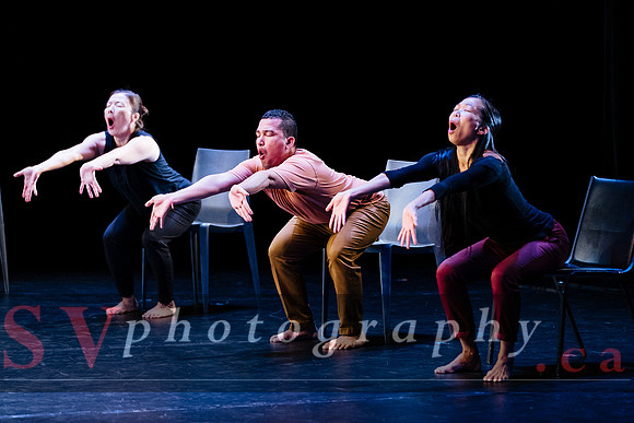 Fall For Dance North's third International Presenters Program (I