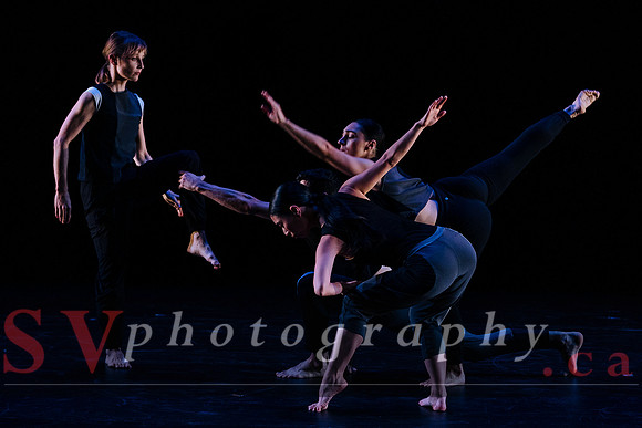 Fall For Dance North's third International Presenters Program (I