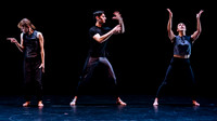 Fall For Dance North's third International Presenters Program (I