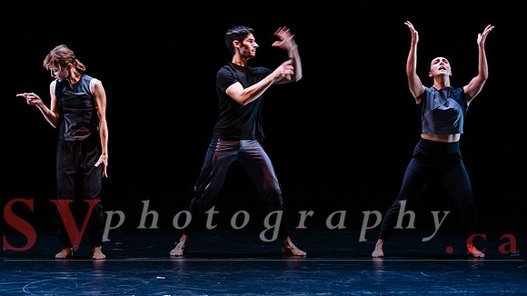 Fall For Dance North's third International Presenters Program (I