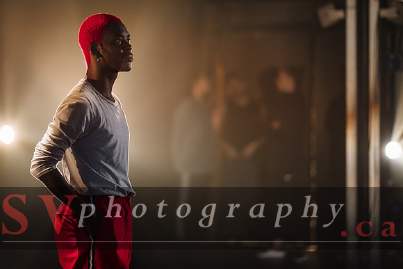 Fall For Dance North: +(dix)