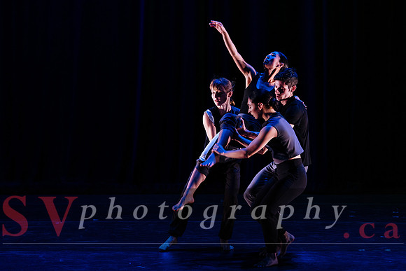 Fall For Dance North's third International Presenters Program (I
