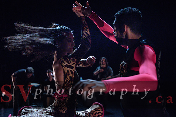Dance Ontario - Dance Weekend 2016