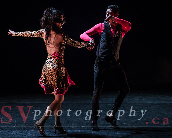 Dance Ontario - Dance Weekend 2016