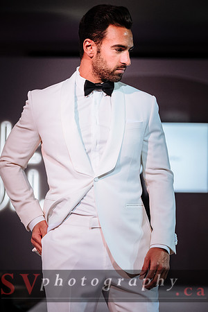 The Wedluxe Show