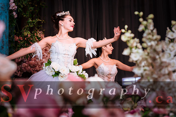 The Wedluxe Show