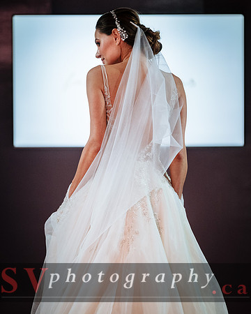The Wedluxe Show