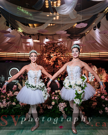 The Wedluxe Show