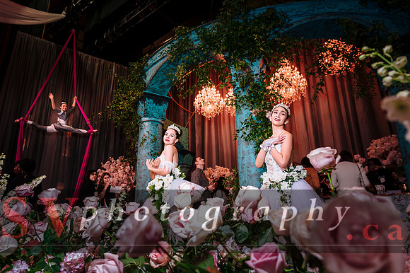 The Wedluxe Show