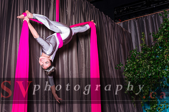 The Wedluxe Show