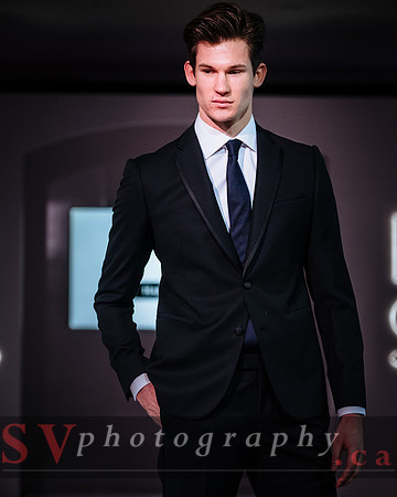 The Wedluxe Show