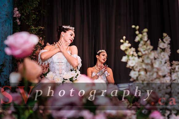 The Wedluxe Show