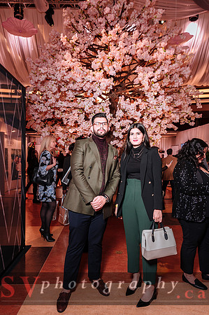 The Wedluxe Show