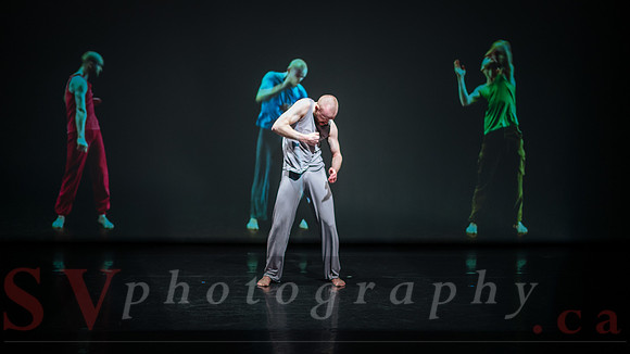 Toronto Dance Theatre - Singular Bodies