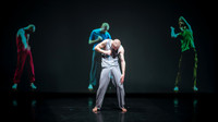 Toronto Dance Theatre - Singular Bodies
