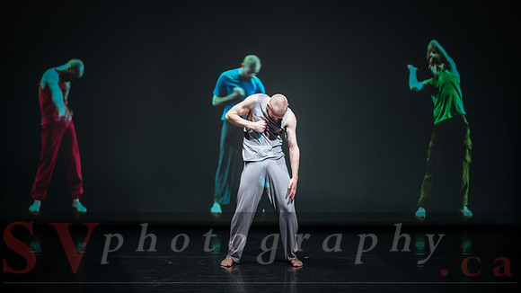 Toronto Dance Theatre - Singular Bodies
