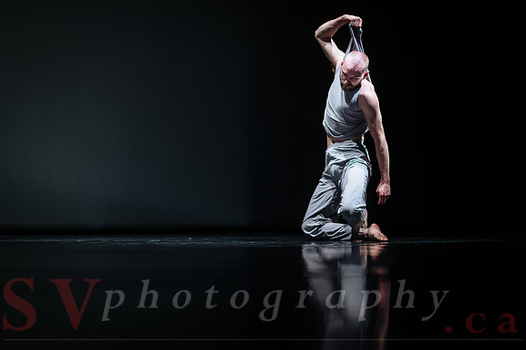 Toronto Dance Theatre - Singular Bodies