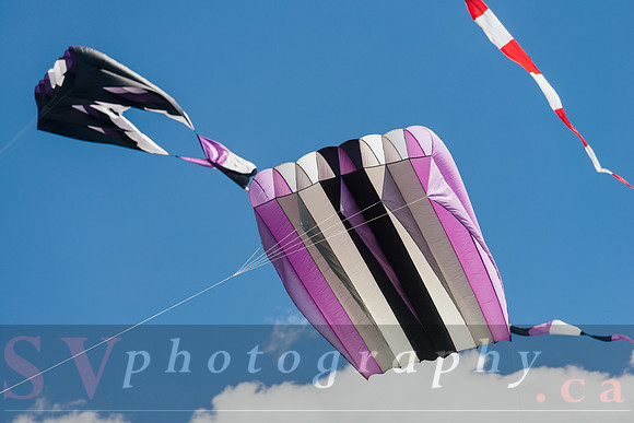 Kite Photographer