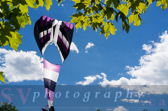 Kite Photographer