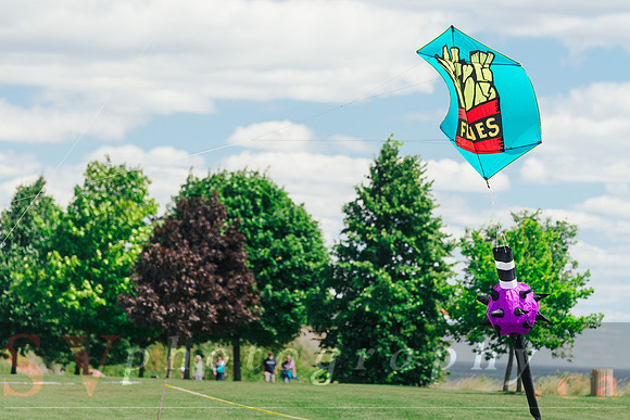 Kite Photographer