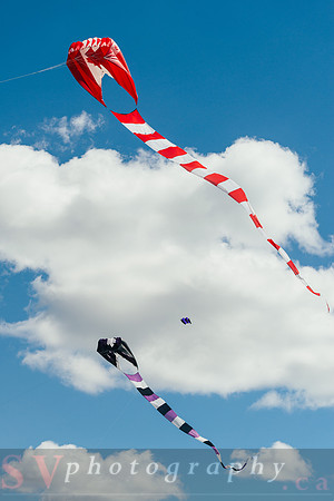 Kite Photographer