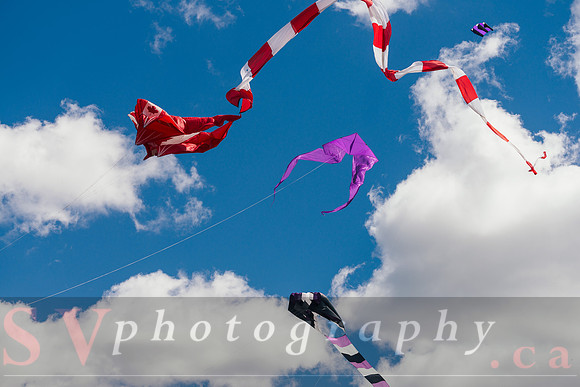Kite Photographer