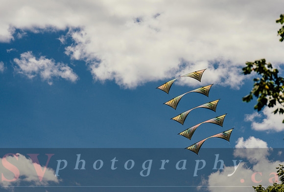 Kite Photographer