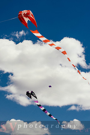 Kite Photographer