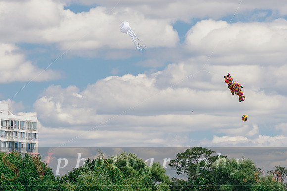 Kite Photographer