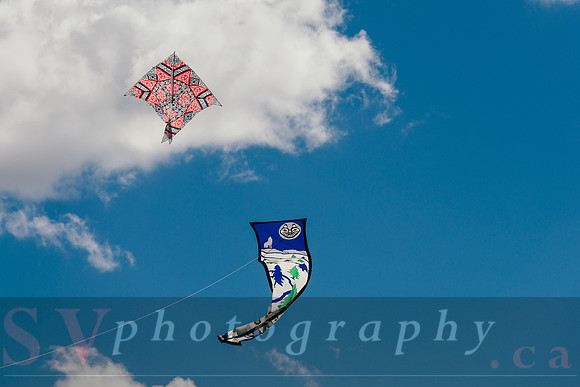 Kite Photographer