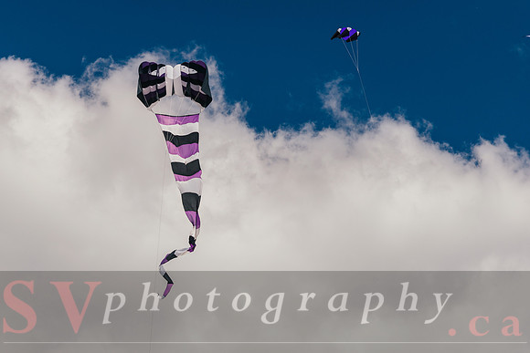 Kite Photographer