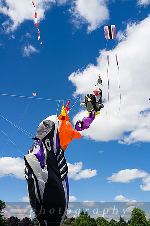 Kite Photographer