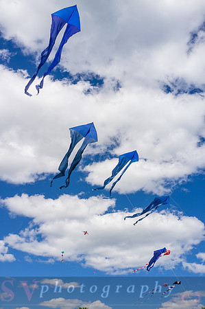 Kite Photographer