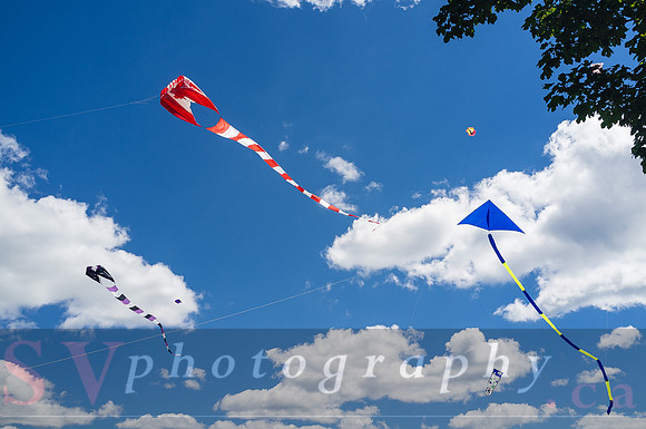 Kite Photographer