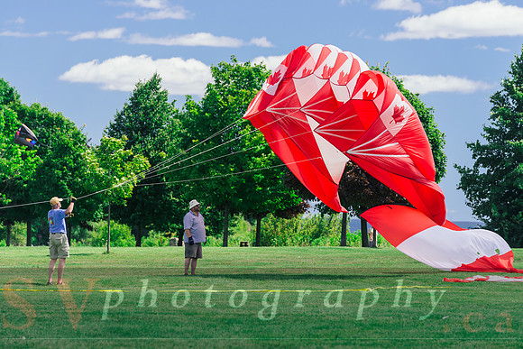 Kite Photographer