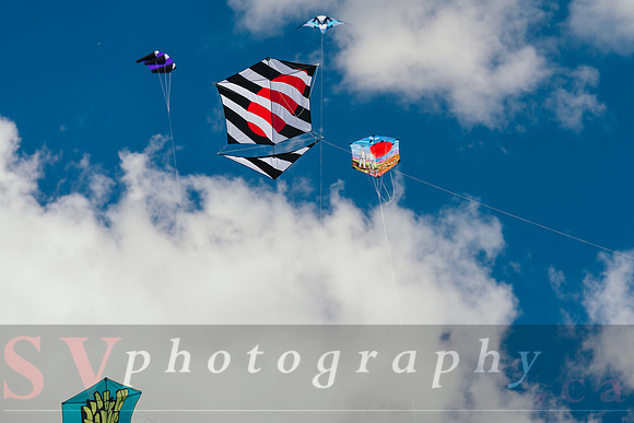 Kite Photographer