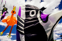 Kite Photographer