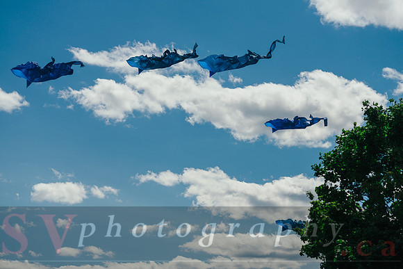 Kite Photographer