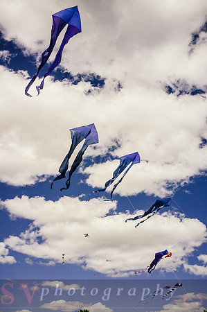 Kite Photographer