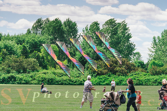 Kite Photographer