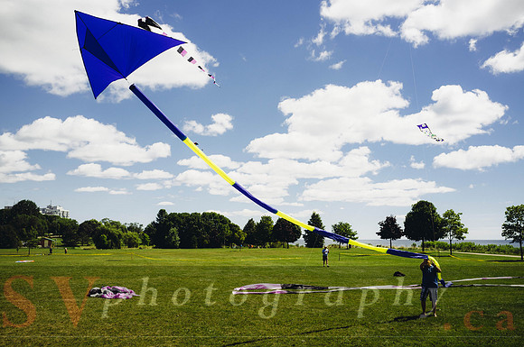 Kite Photographer