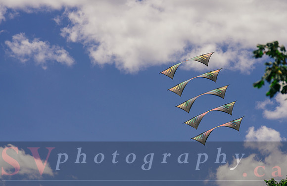 Kite Photographer