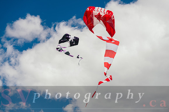 Kite Photographer