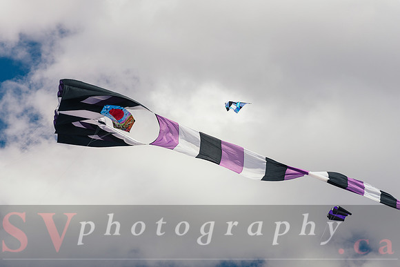 Kite Photographer