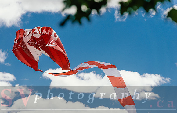 Kite Photographer