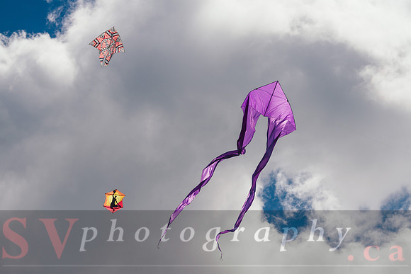 Kite Photographer
